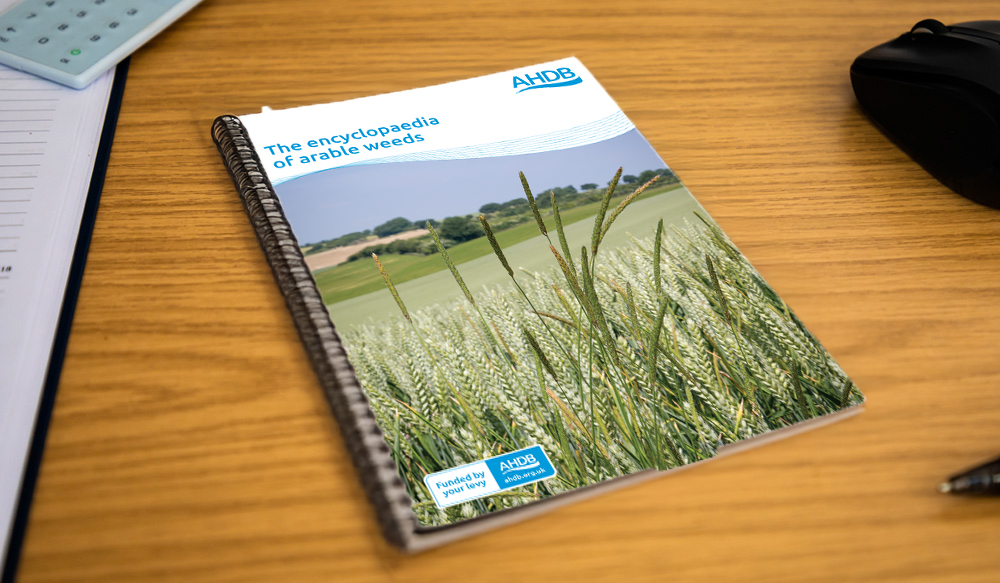 The encyclopaedia of arable weeds